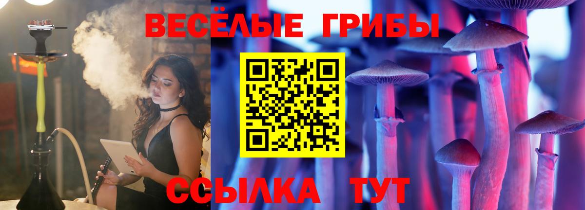 Галлюциногенные грибы мухоморы Калач-на-Дону